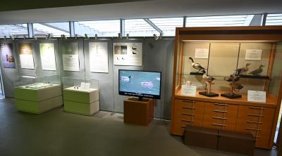 カモプチミュージアム カモプチミュージアム